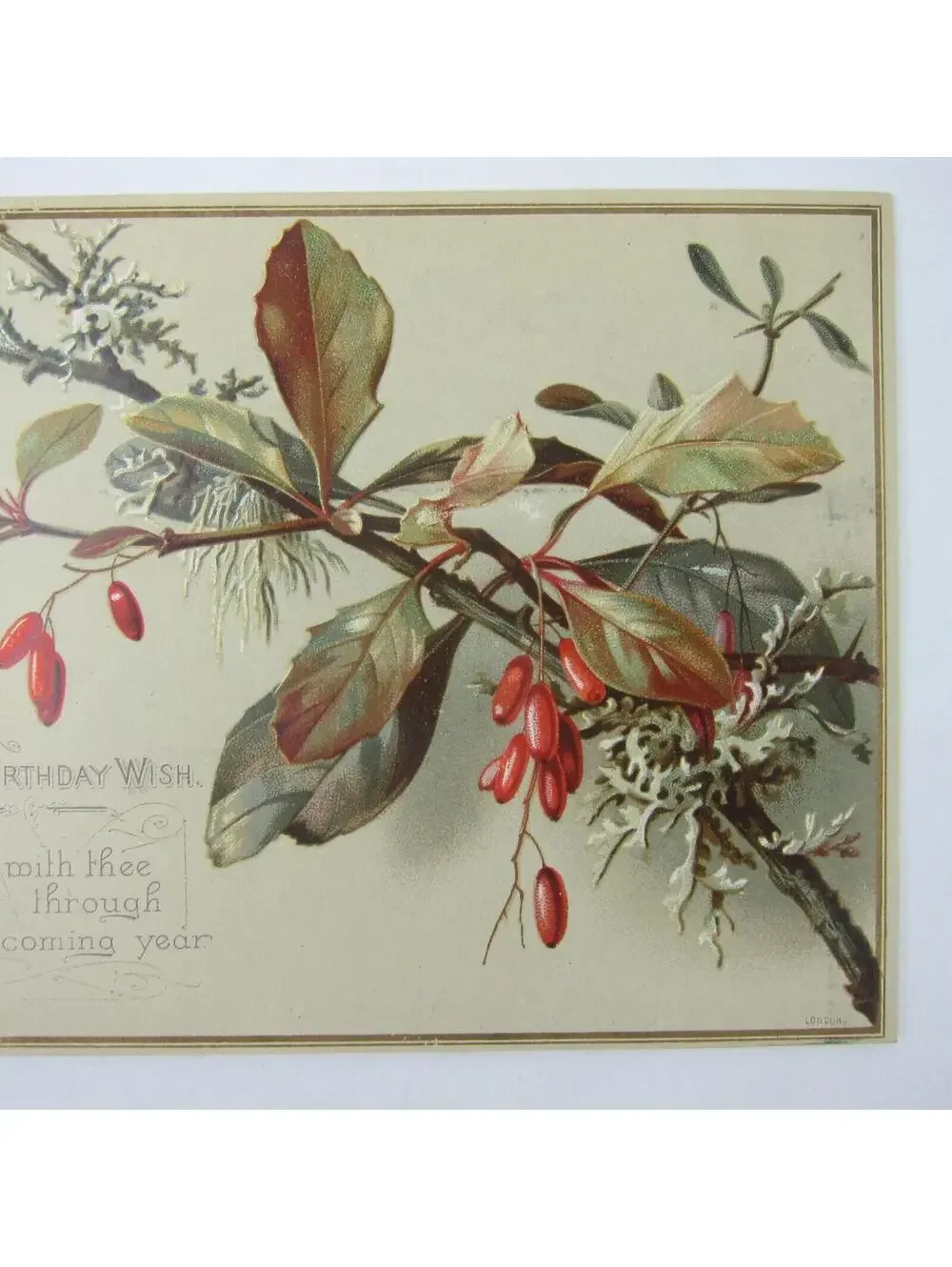 Victorian Birthday Greeting Card Red Barberry Branch Raphael Tuck & Sons Antique